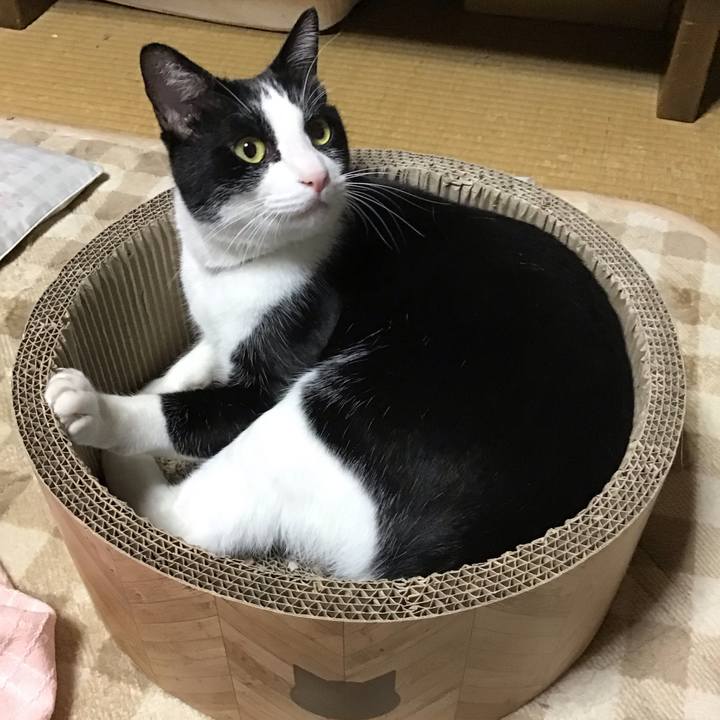 89f1f97f 011b 427f 8746 aa28b1437616 1699273061447