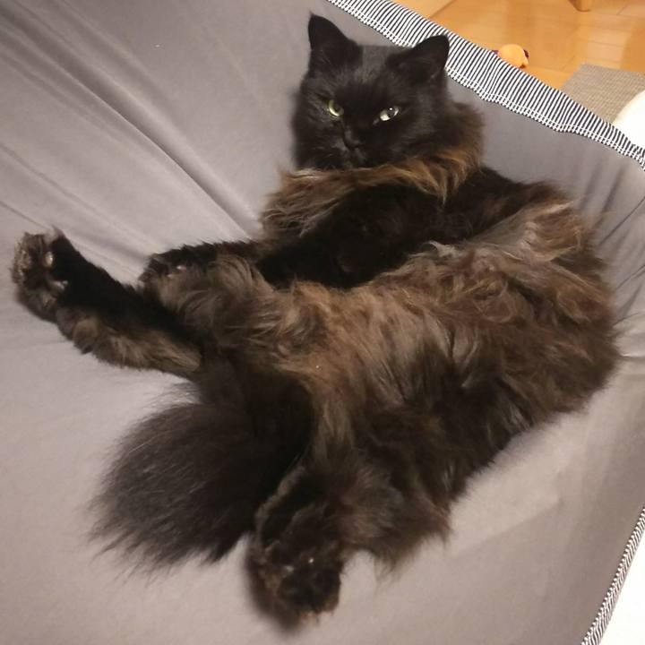 89f24970 8ea2 4c03 aa86 eba10c64e21b 1573994936442