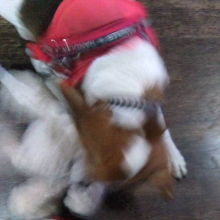 89f287ce 3225 40d3 8f0f dcfd013fa9c0 1709467675232