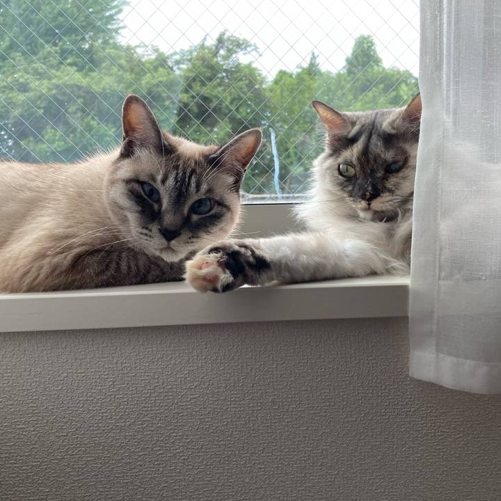 89f2aa1e 76ac 424d 907b 736d4a129fa6 1750917852927