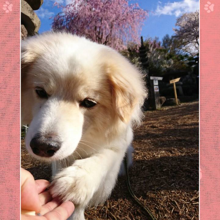 89f2b661 bafc 4956 ab92 f1f238518a97 1523278755387