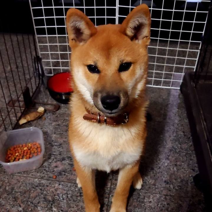 89f2e8f5 4d4a 45a6 ba8d 1db55c2110f5 1731855093381