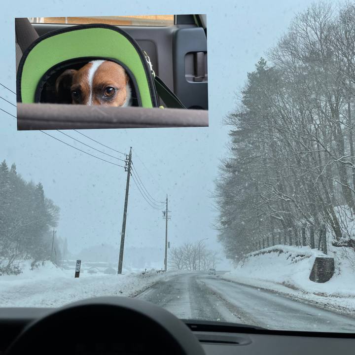 89f33b56 3011 46a9 ba5d 8884443703d1 1642051595903