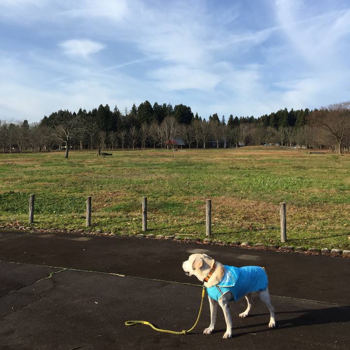 89f386d0 eaab 4ad1 9786 9a536510c184 1544921534136