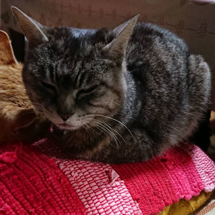 89f3989a a1de 45ac a997 d449e1c79711 1554726658072