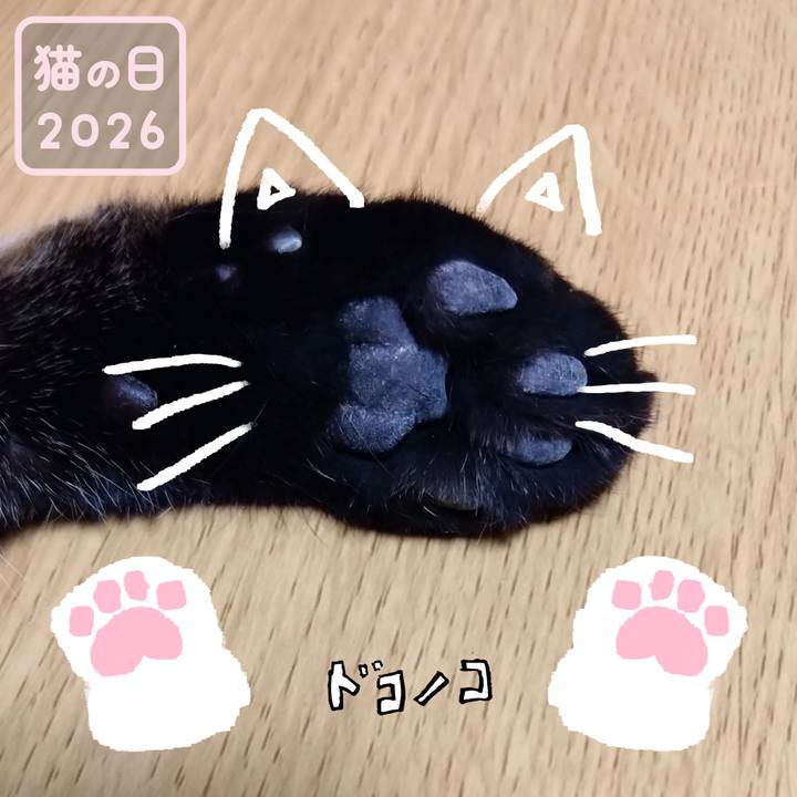 89f3a0c0 3c1d 4699 afce e3530b5fb883 1771757443810