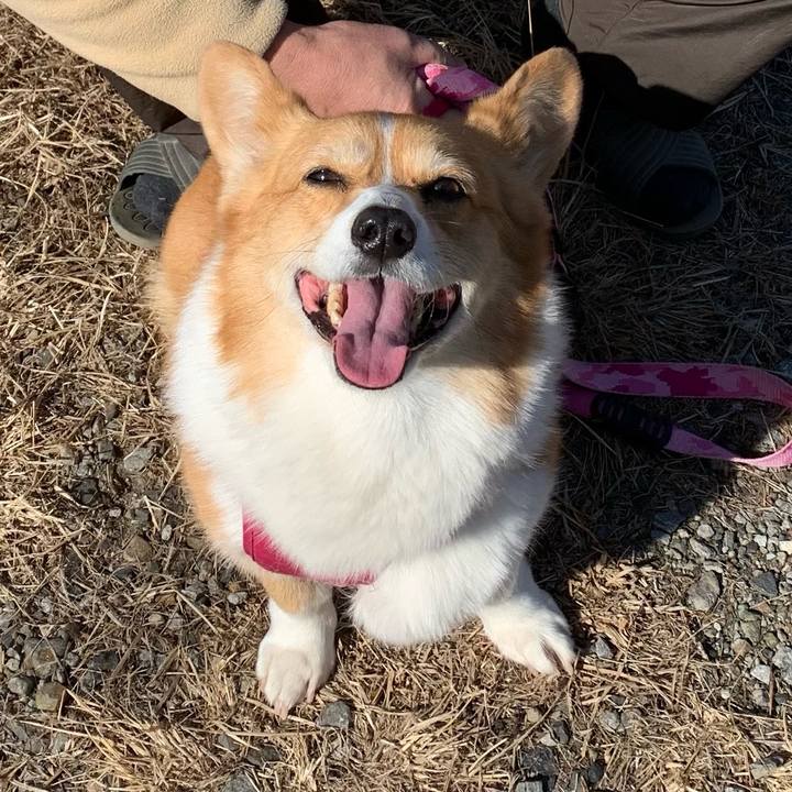 89f3d648 8646 4f13 89ab b7616072386b 1643426409964