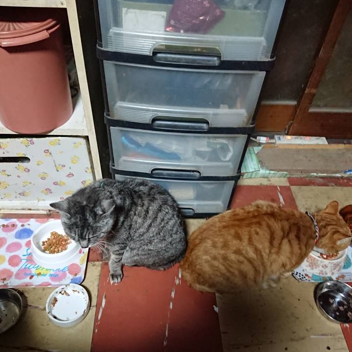 89f3d6b9 9af4 4f78 bd23 69d2d1986876 1573157003564