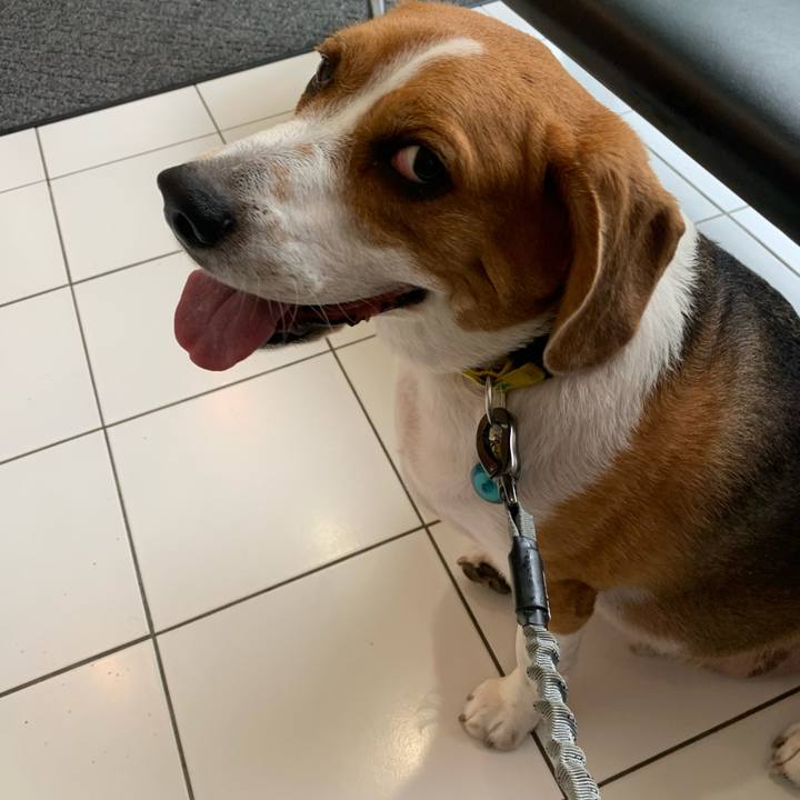 89f3eca1 409e 4a41 8c19 ea7a9f4d95a5 1655282379197