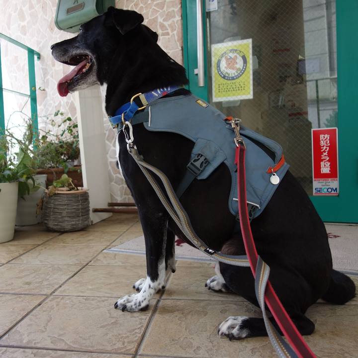 89f3f75b 7fd8 4b6f b90c 8d2e8dfbe0c6 1724410282995