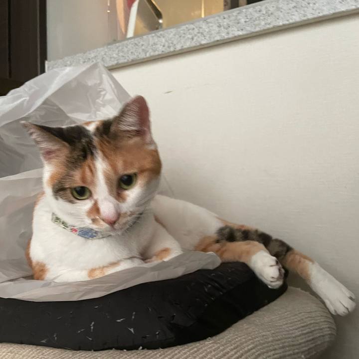 89f40768 ef81 4188 a596 80290bdd7a05 1725182025559