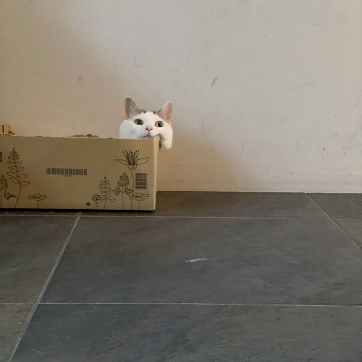 89f42eec cbc3 4670 9d4d b56e5ee0c5aa 1592179772550