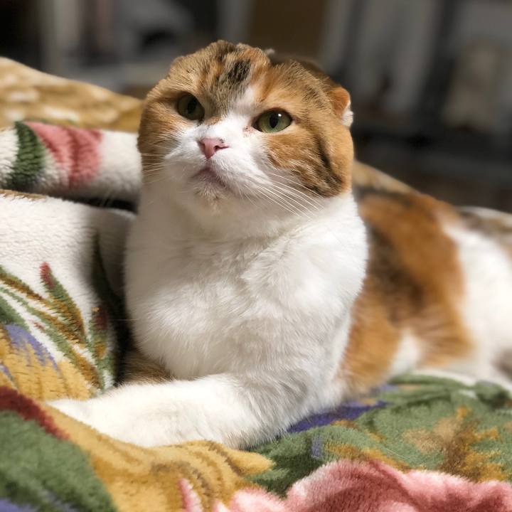 89f4432d 96c6 4112 826f 99329a295153 1586526860266