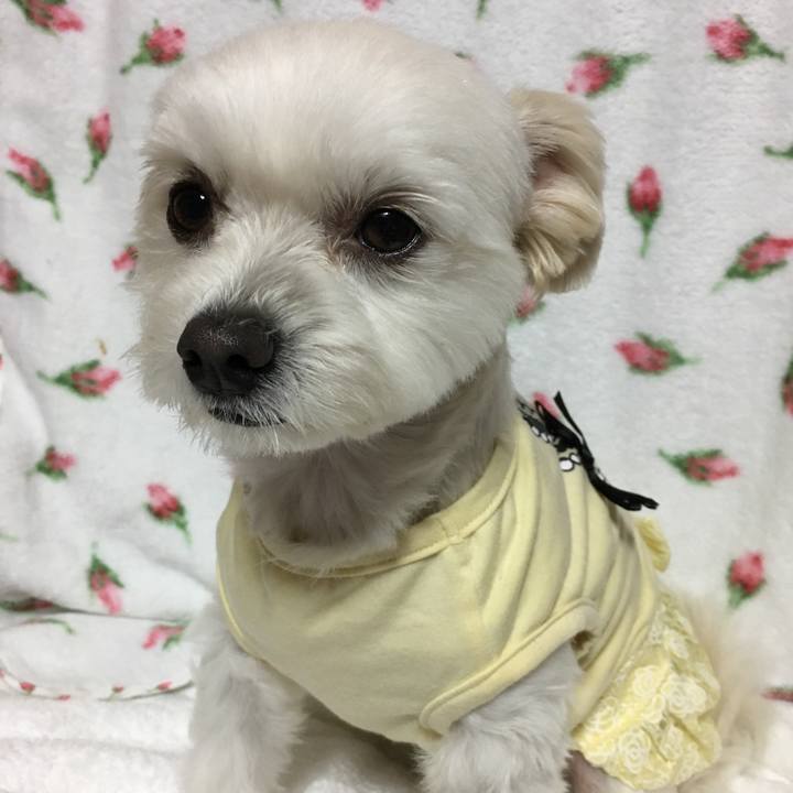 89f45712 4f8b 43a1 8ccc 81235ca41e7e 1508574484176