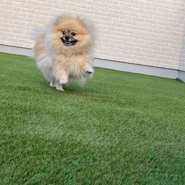 89f45a9f dc03 4fb5 9211 8f08361918c5 1701352686905