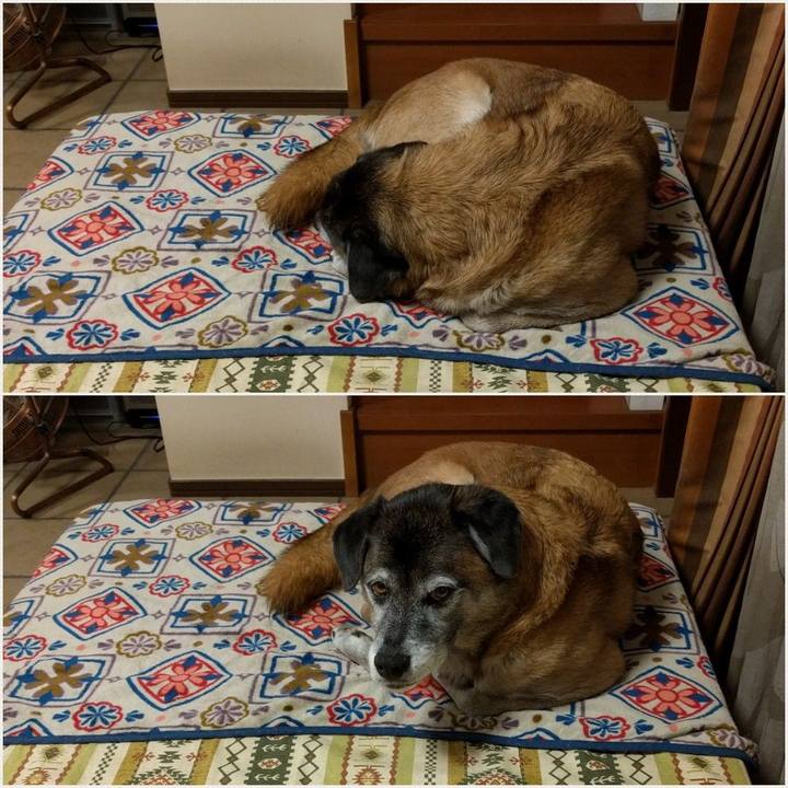 89f4c118 09e7 4ef4 8865 ed386468a9a3 1539436650190