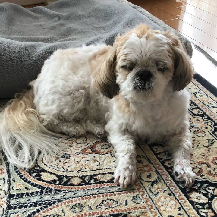 89f4e673 fabc 4234 96b0 daae3504bd1f 1617659525568