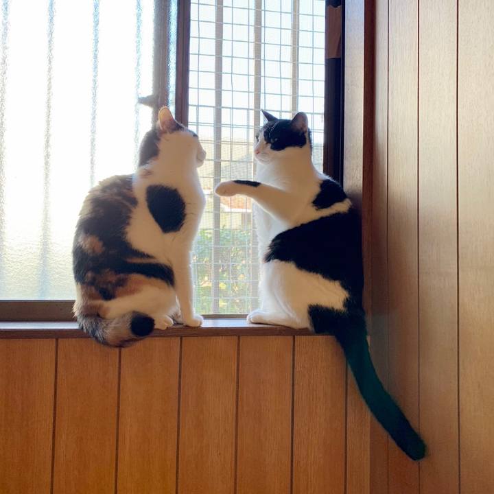 89f50e26 11fe 49b6 b482 cb8dd1612b95 1549505928747