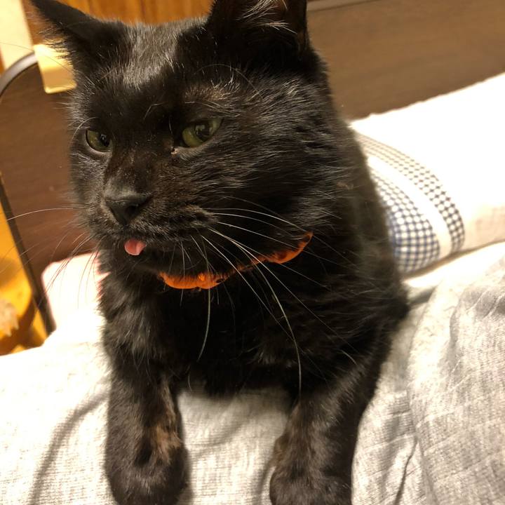 89f54a62 de1f 4727 9110 202221194382 1570884743598