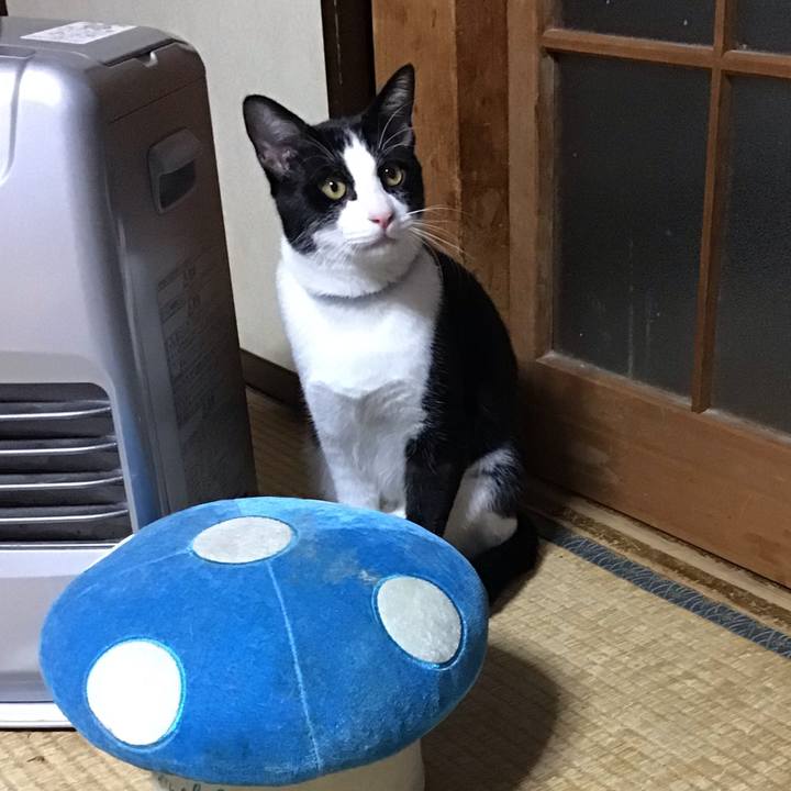 89f560d3 e577 44bd 87a2 dc26b765765e 1638003012193