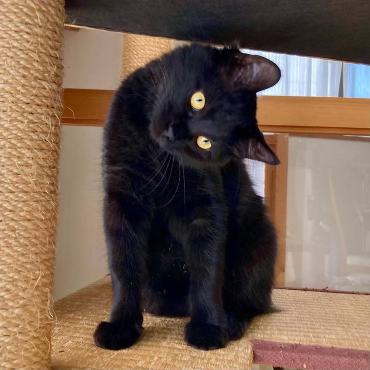 89f569ca 0066 4f76 ada4 e4997903ddb3 1709962040300