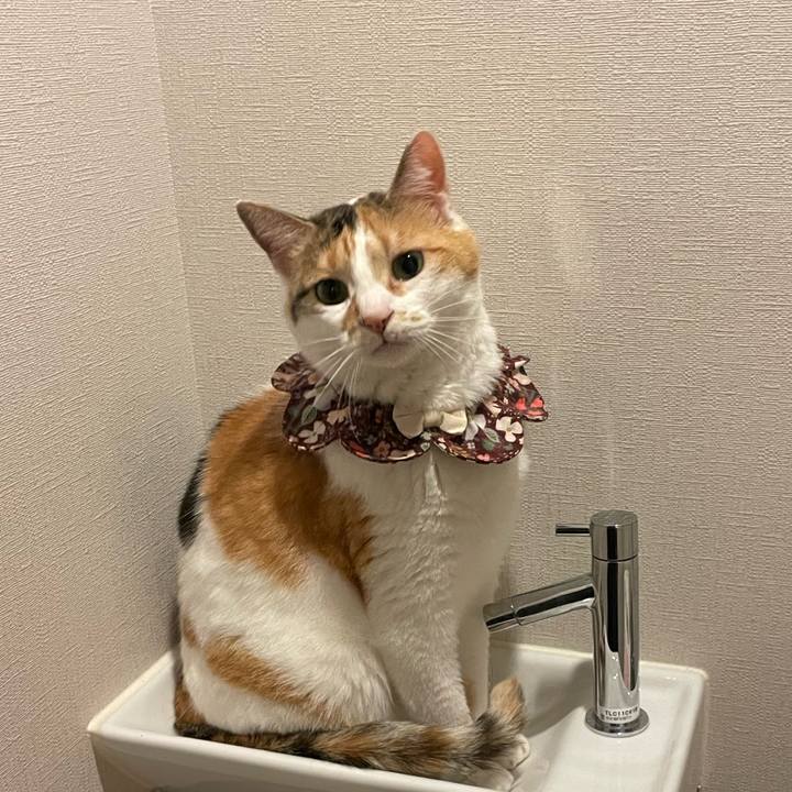 89f5754a a190 4c0b 9498 a1377827f99b 1749470464119