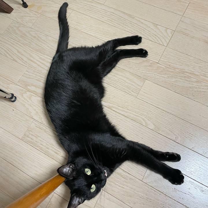 89f5ccd2 7f68 4116 b2e7 2293cf8e142a 1642687965029