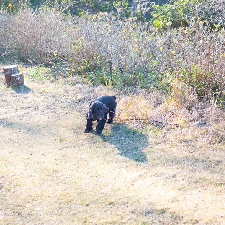 89f5fa74 97f8 487c 96b3 30bf1a69c372 1579406094889