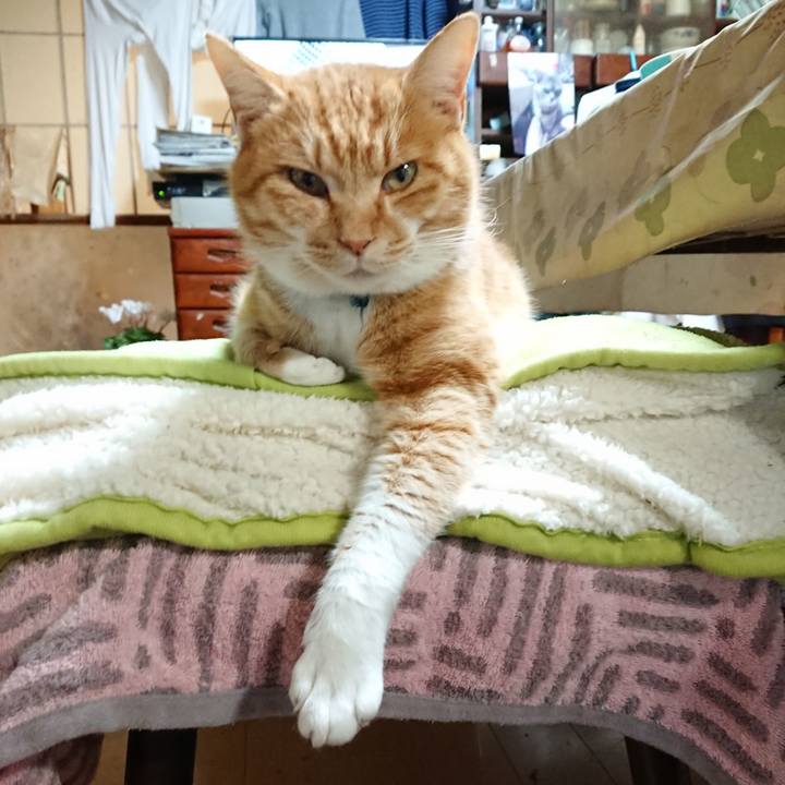 89f60b16 5ad5 4411 9db8 95d17bbc5e95 1608372168598