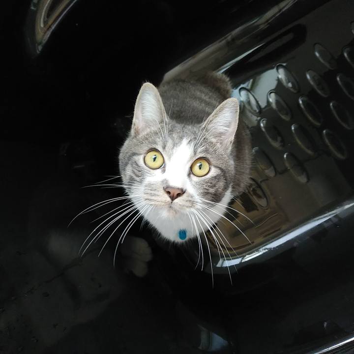 89f626d2 5a39 4d3b 9ca4 193ce07fe4f1 1575596470576