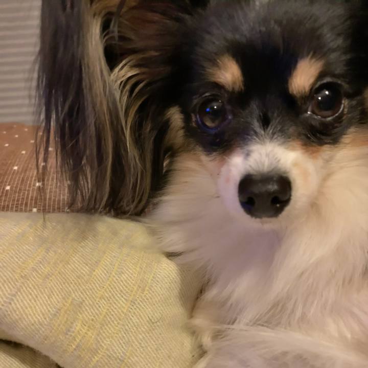 89f64fe1 6142 40ab a0a9 125b2a7ddc25 1543136707398