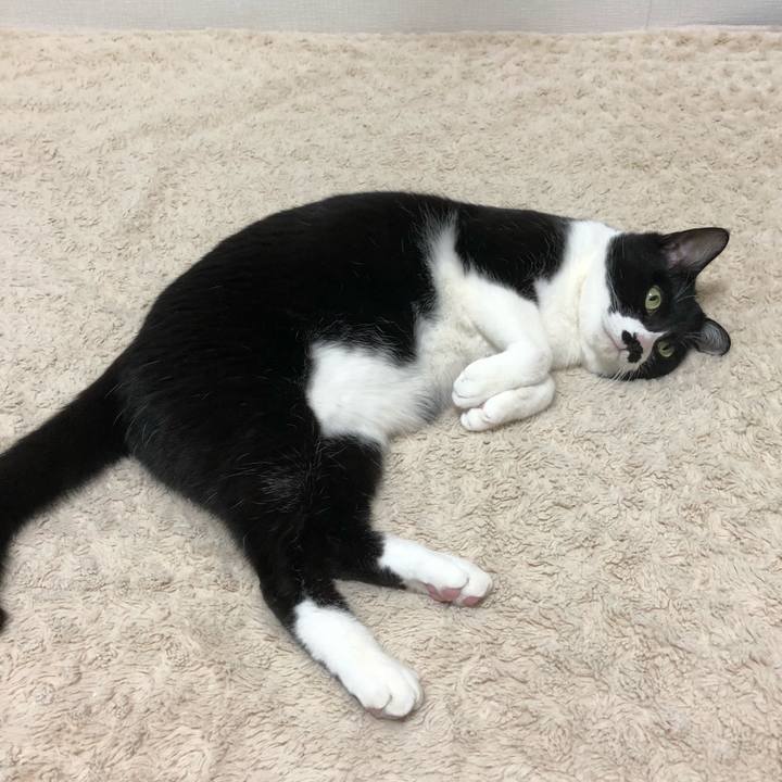 89f65eaf 3998 491a 9015 d6a285b0bd93 1516029474622