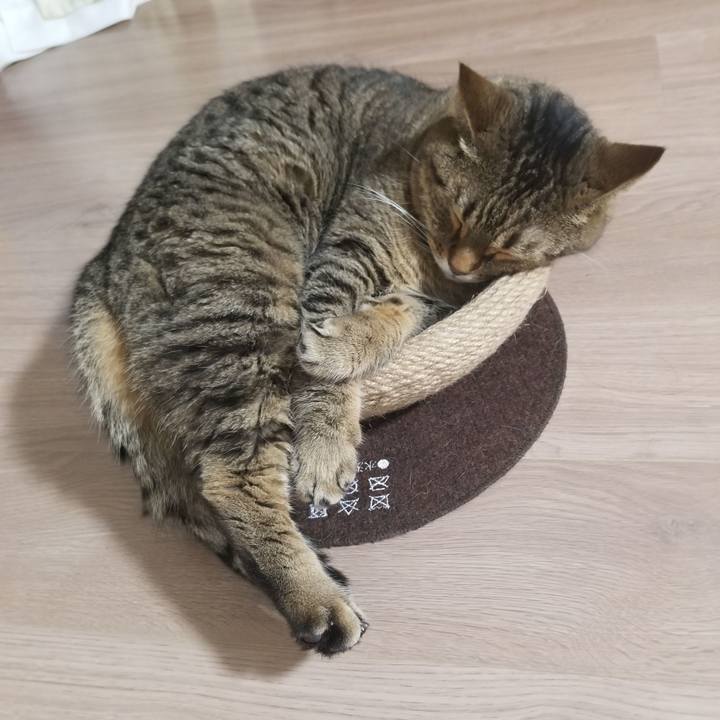 89f6773c 6e2d 43e5 b983 073b2ca28f35 1600028841013