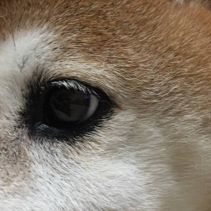 89f68fe4 843e 4abf 96b1 2e87baab6384 1528625090243