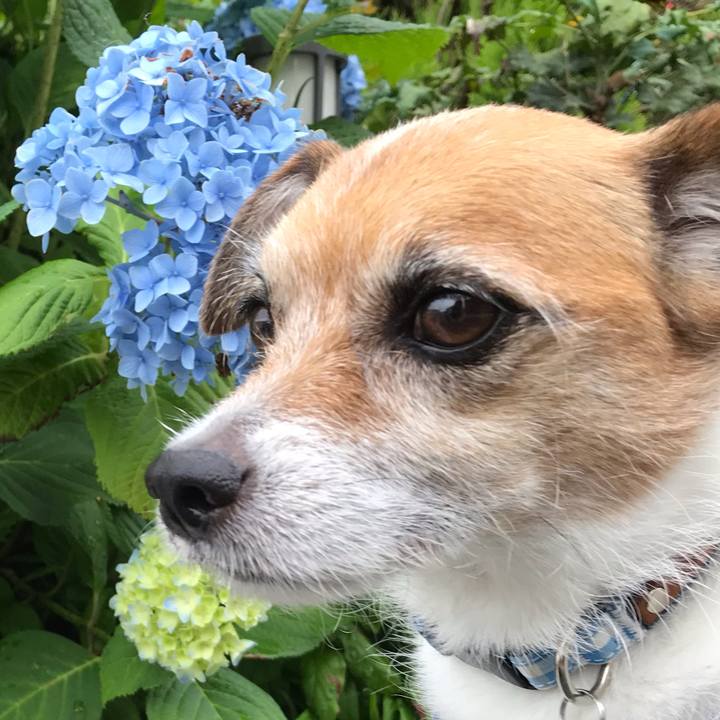 89f69153 c818 4d5b b952 3debf3e64fab 1559952215729