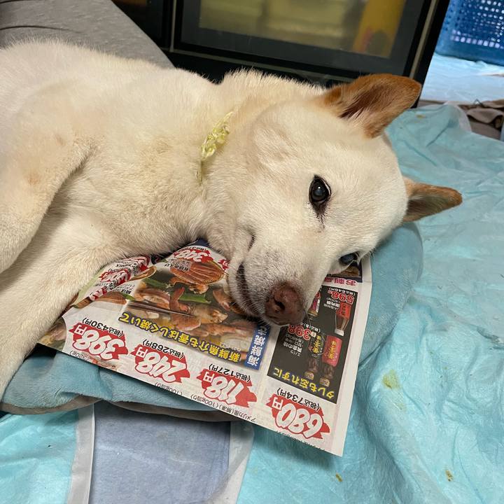 89f6c602 8d8f 4435 938d ff0461fffff1 1652498459885