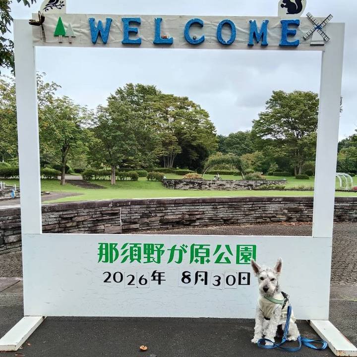 89f6c735 c43a 42a7 b5ae b2bea0b80a3f 1788090977641