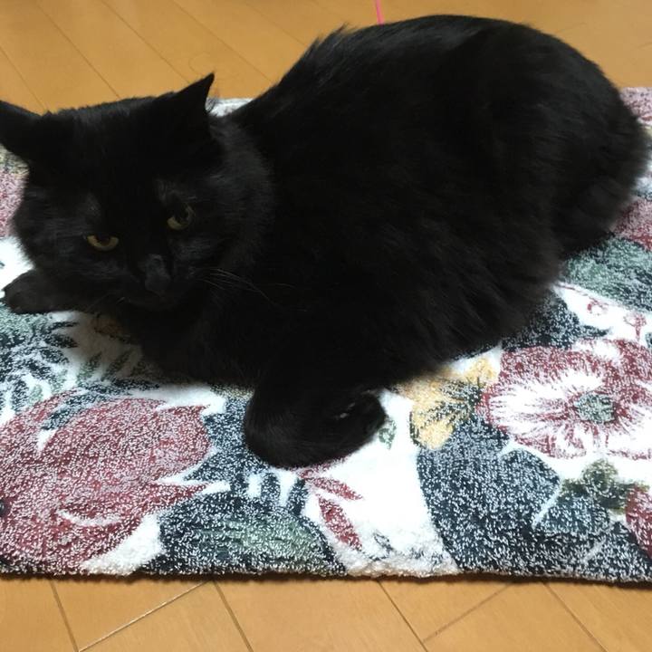 89f6f3bf 50fb 4d32 963a 703ab837fd0a 1529409216428