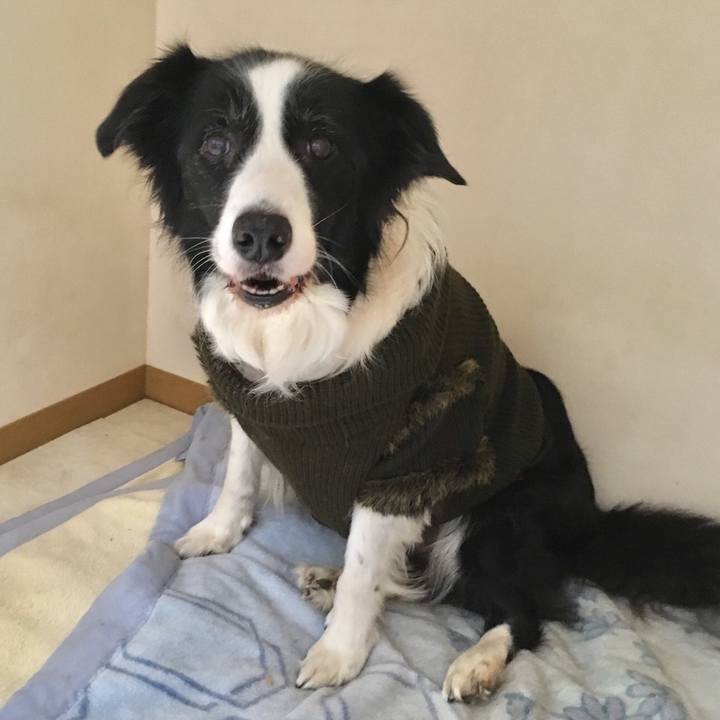 89f71d92 fe70 470e 8ae7 df7e41aeb829 1516180001359