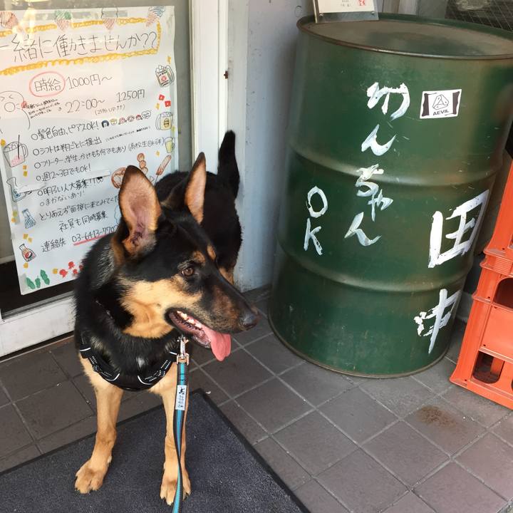 89f76933 8f8e 4757 b3e6 c9114289b8a1 1520117267444