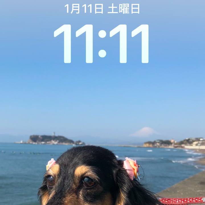 89f76b85 bc80 4b3f afd0 5138ee243c06 1736593317428