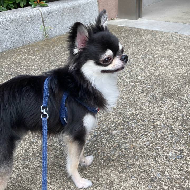 89f79d00 a2cd 4733 b79c d55c9e8e62c3 1629520391775