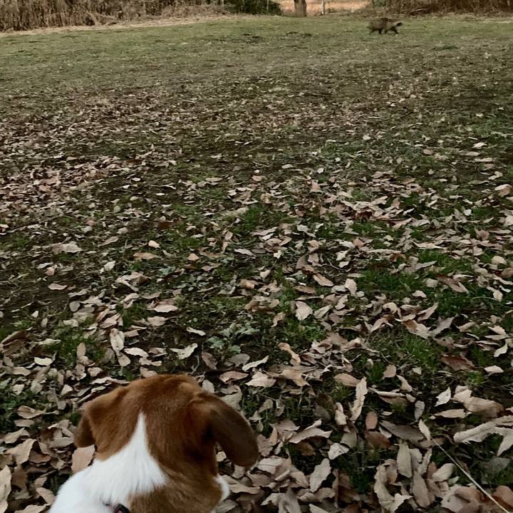 89f7a1b8 4deb 4f2c b8f8 3528053e759e 1640766152616