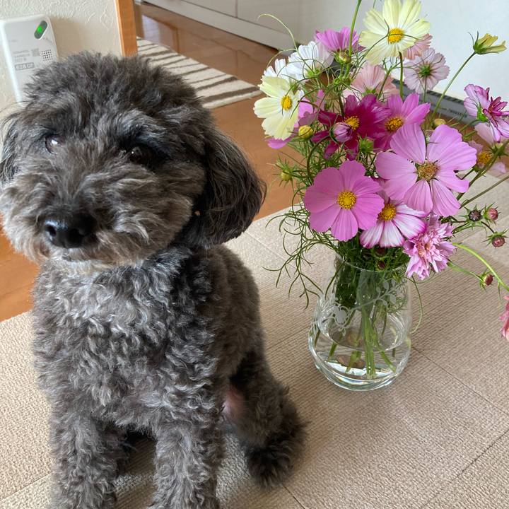 89f7e1b7 d064 42db 8dff a62b9755c8a3 1697797233902