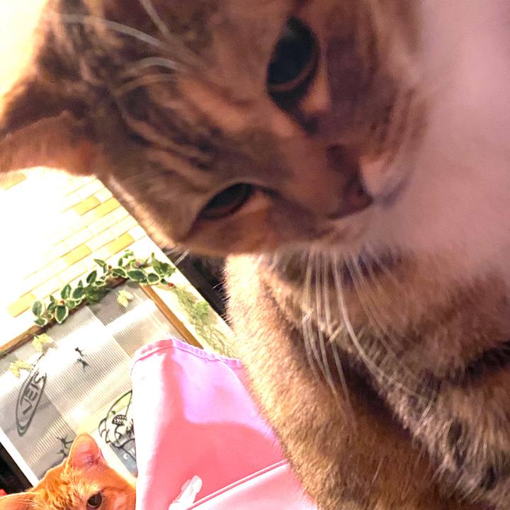 89f7e772 11aa 4414 883f 96bb71bffaaa 1578844037922