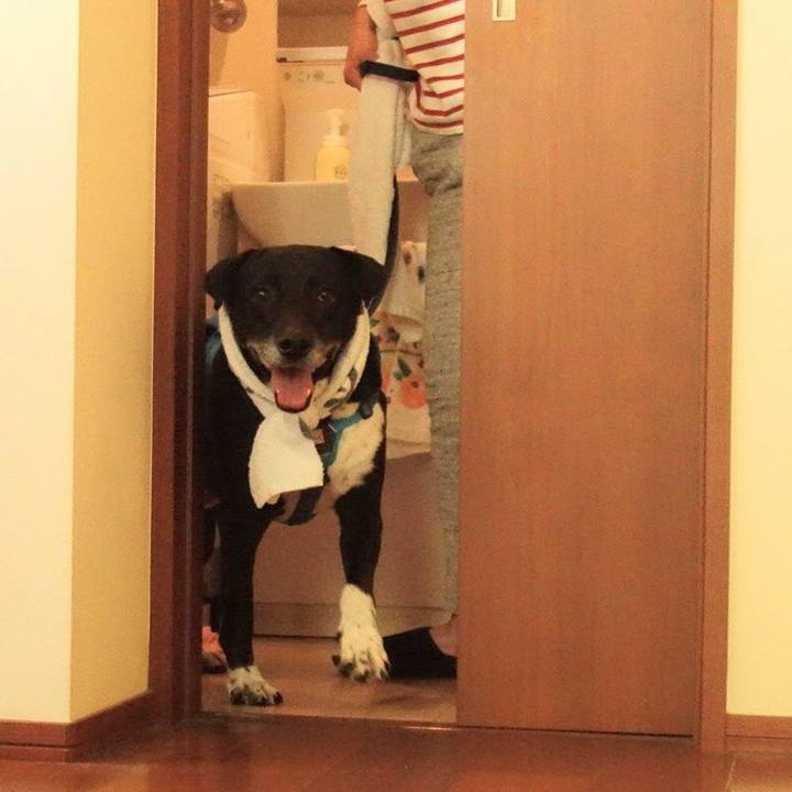 89f81c48 bdaa 43b3 9843 974f5c77405d 1697454202032