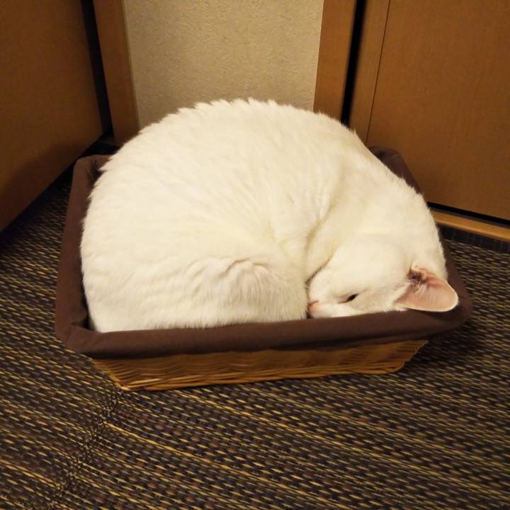 89f83d44 4da6 441b 8a88 1907422e06ac 1566647121681