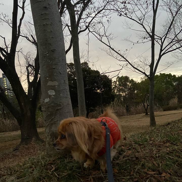 89f84506 c8c4 491d 91e8 1258f5f0640b 1578348451086