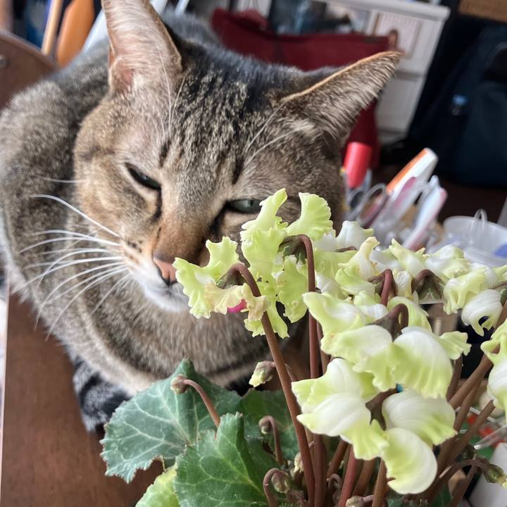 89f87387 54bc 4068 a737 624c7b15bad2 1767051739323