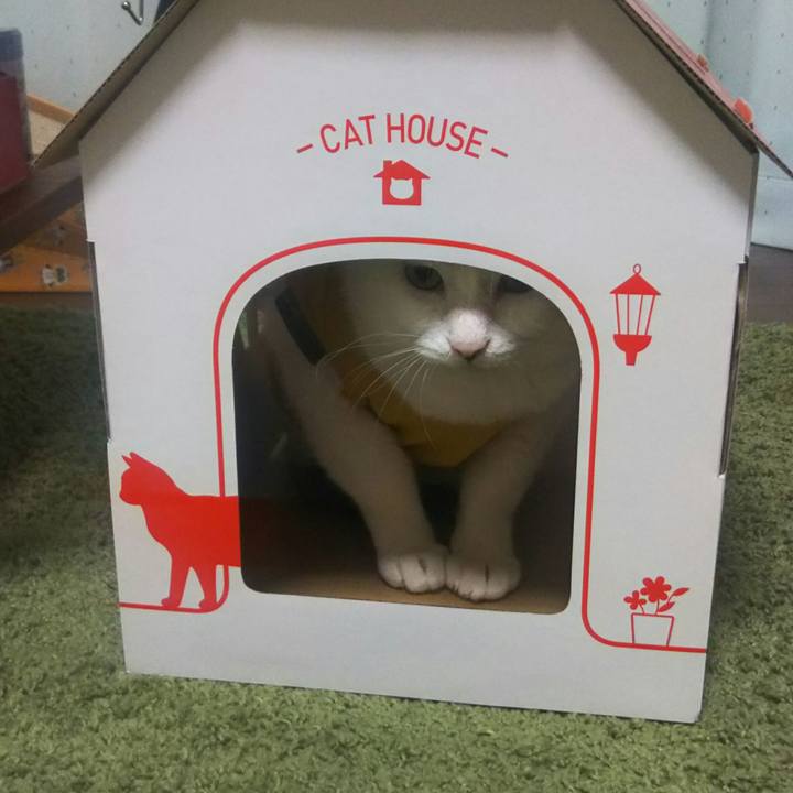 89f88aa3 75dd 41d7 8d2a 684270fc8d63 1534602121901